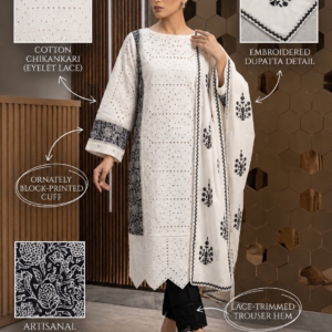 Pakistani Lace Work Suit